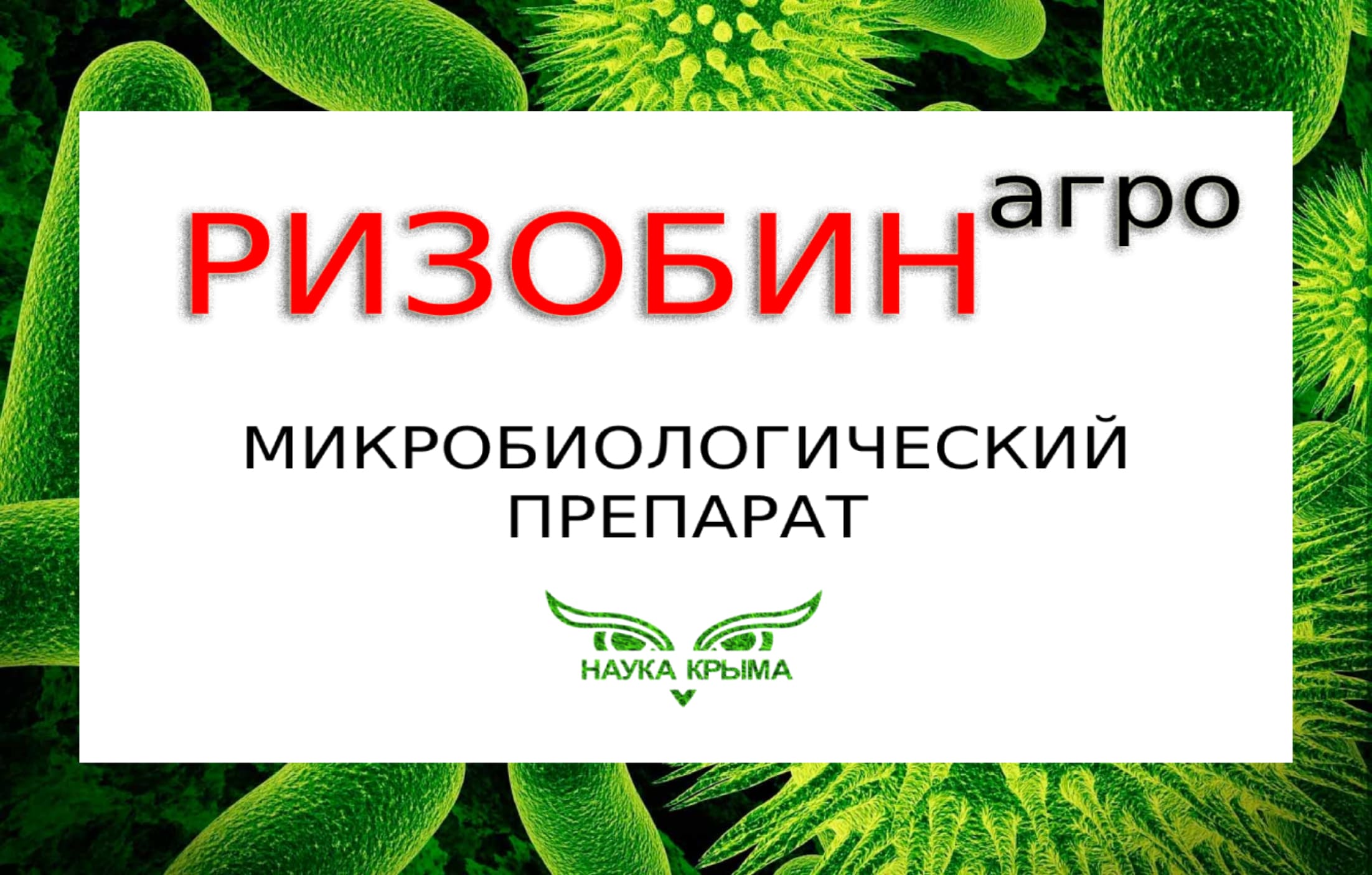 Микробиологический препарат Ризобин-агро.mp4