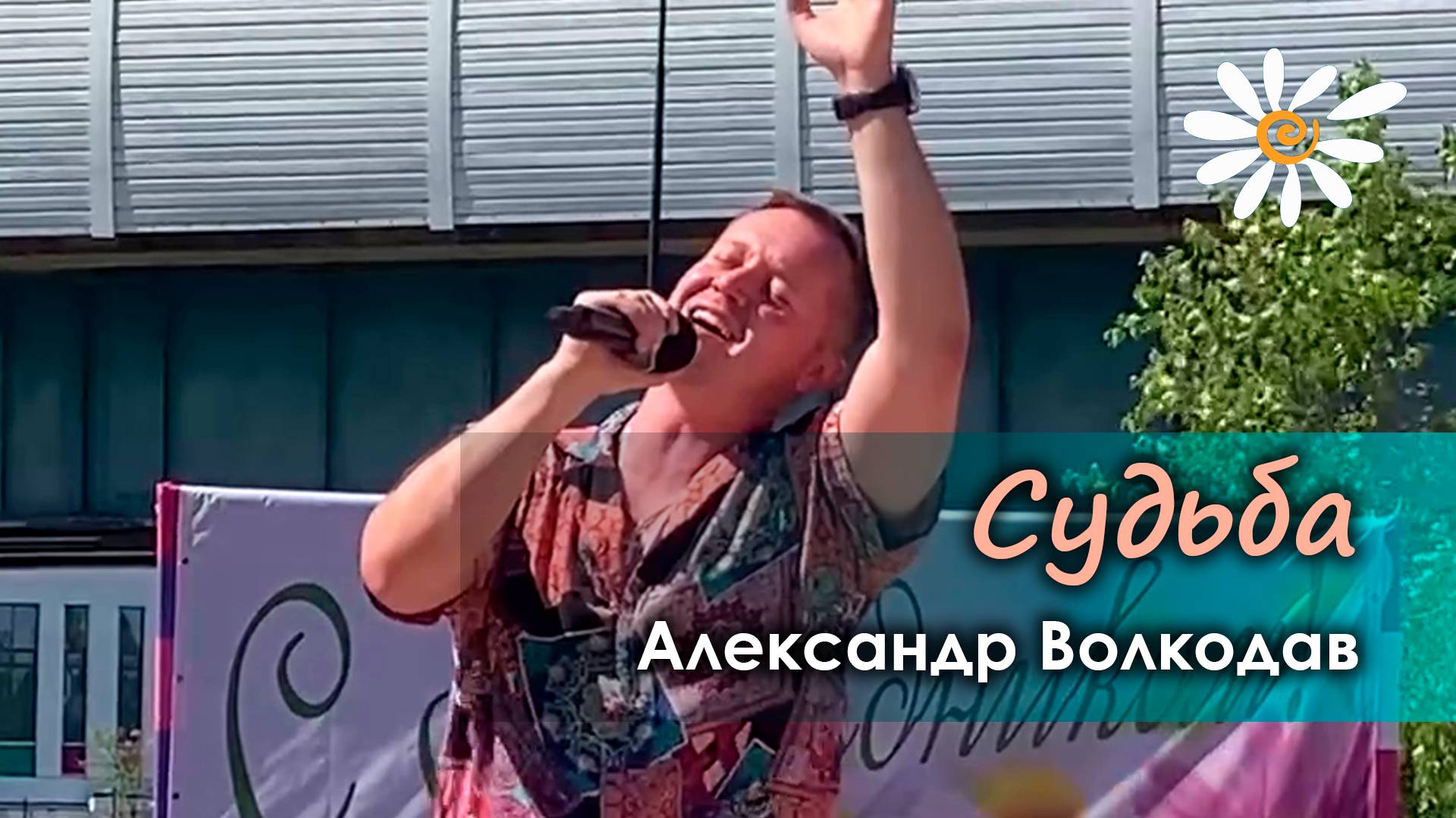 Александр Волкодав - Судьба (День семьи, любви и верности, Южное Бутово, Москва, 8.07.2024)