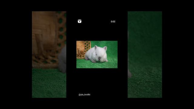 1000002722.mp4