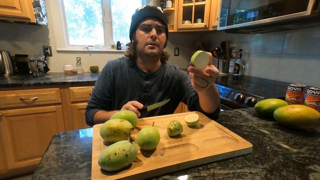 Pawpaws - Potomac - Meet the Cultivar Series - 03 - Asimina triloba