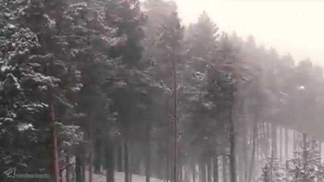 Живописная зимняя природа Пензы