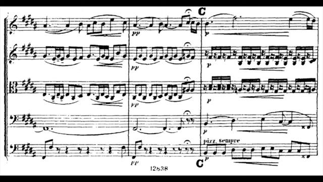 Antonín Dvořák - Nocturne in B Major Op.40 (with score)