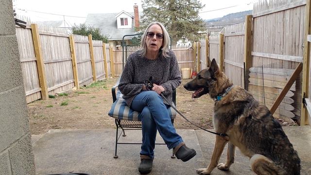 Julian Intro - Team Dog 90 Day Training Challenge