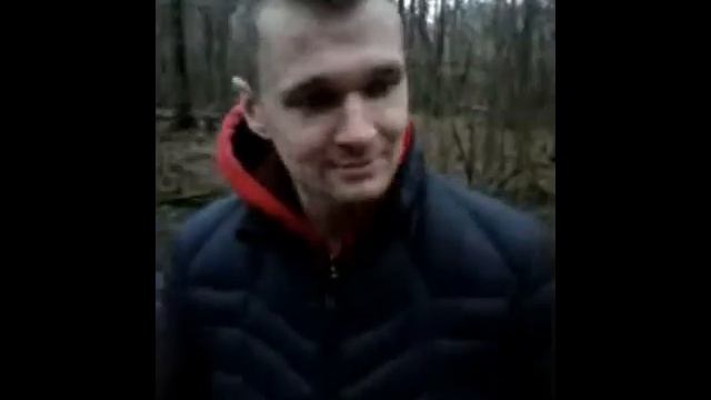 В Сосновке завелись волки
