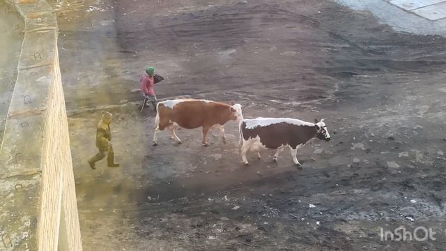 Какой чудесный день.день чудесный