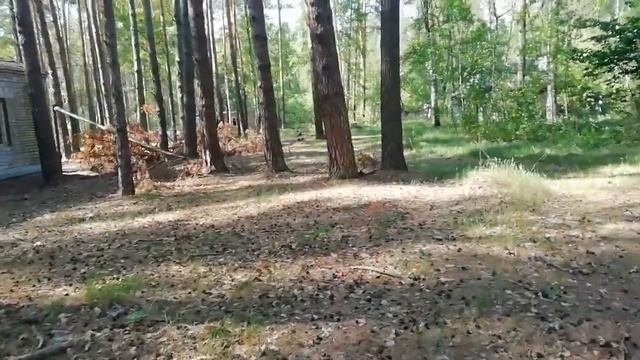 КОП В ЗАБРОШЕННОМ ПИОНЕРЛАГЕРЕ. КУЧА МОНЕТ. КОШЕЛЁК  КРИМИНАЛ.!!!!????