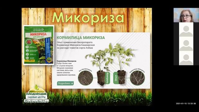 РАССАДА 4 Чем кормить и защищать рассаду? Как ухаживать пересаживать и закалять?