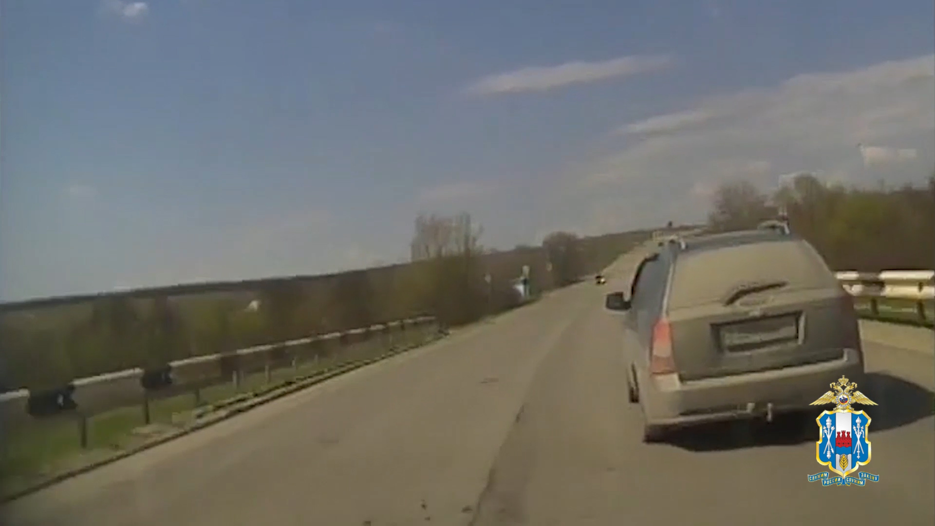В Ростовской области полицейские с применением оружия остановили иномарку с нетрезвым водителем