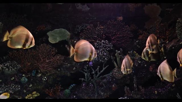 Хорошая музыка для сна и отдыха. Good music for sleep and relaxation.