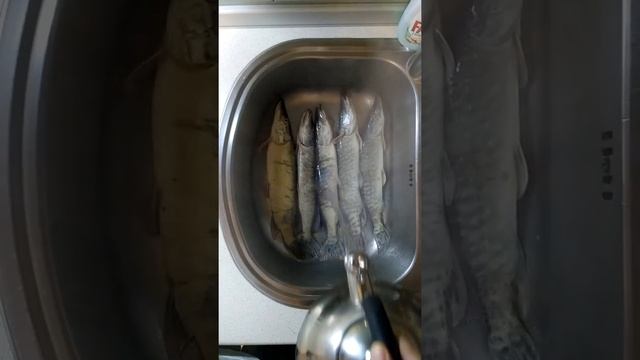 Почистить щуку легко и быстро