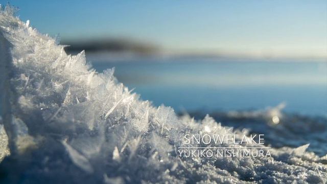 Snowflake / Yukiko Nishimura