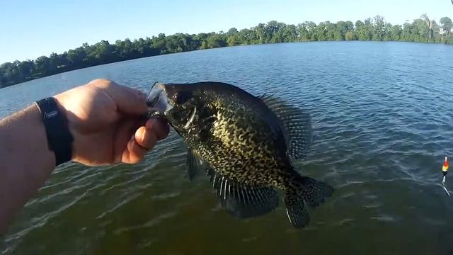 Crappie Fishing - A Live Bait Alternative