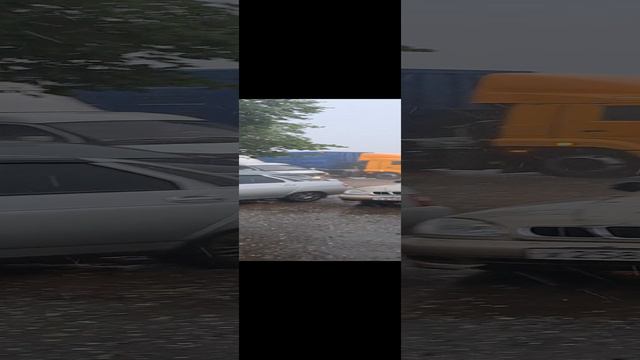 1000039321.mp4