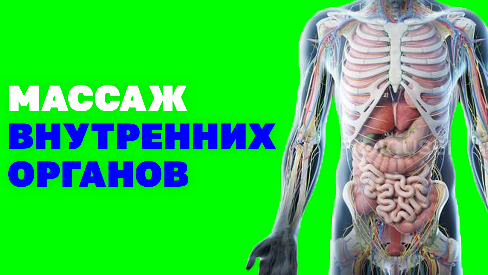 Как восстановить работу внутренних органов? Улучшение кровообращения ЖКТ! Упражнения цигун
