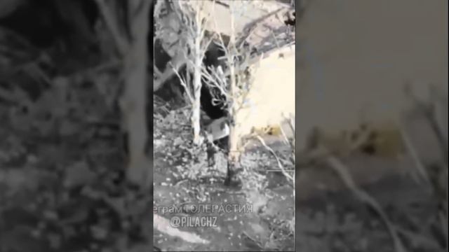 ТМ-62М