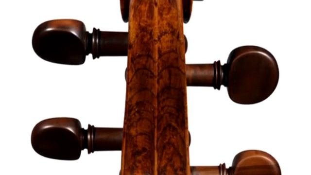 The Amati Cello