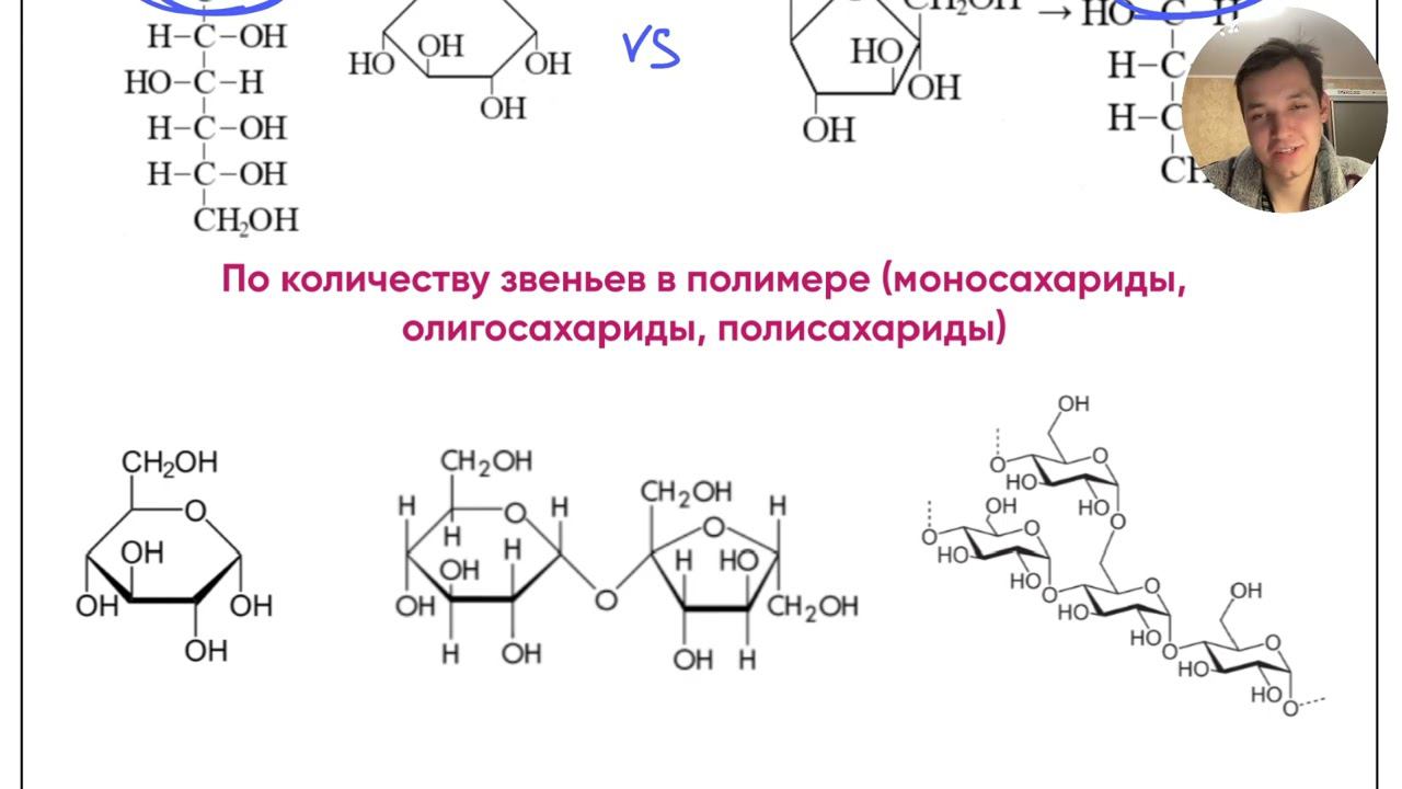 Углеводы