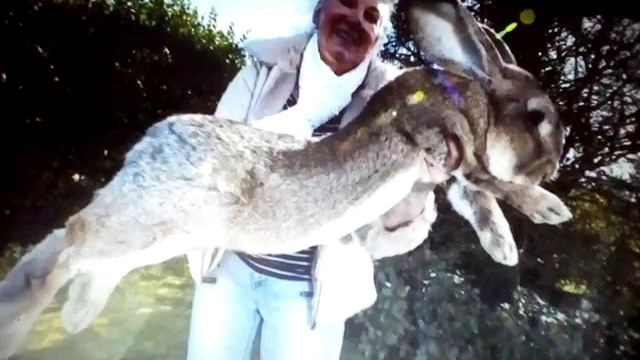 Самые большие животные в мире с Кролей