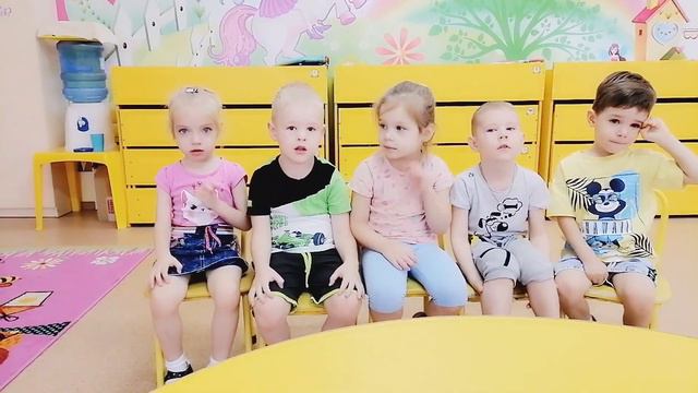 Сиреневая (старшая группа). Домашние птицы