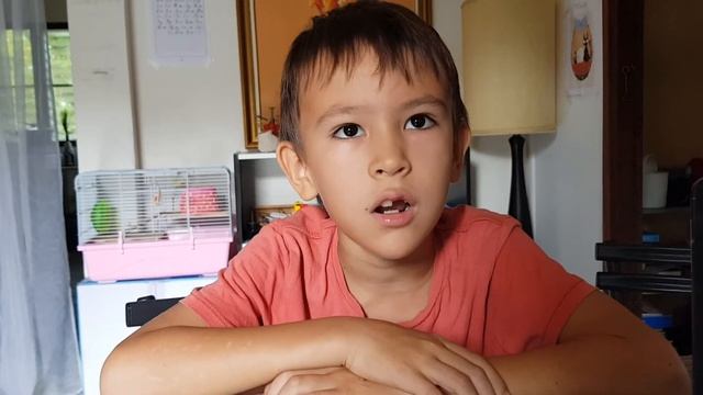 Про пингвинов, Алан Доклад по Окружающему миру