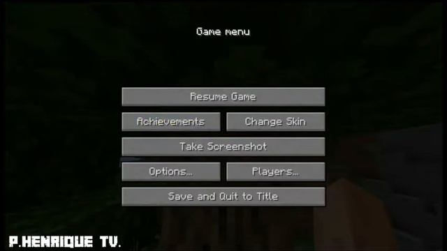 NOVA INTERFACE DE PC PARA MCPE