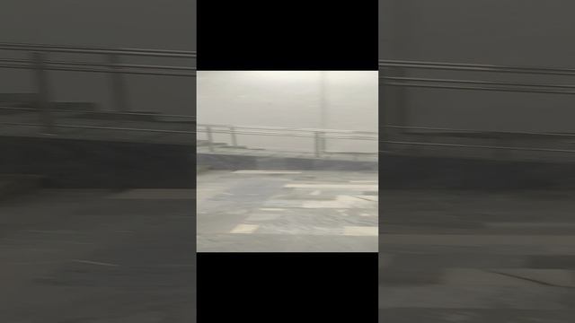 РГУ им. А.Н. Косыгина. День студента. 25.01.2024.