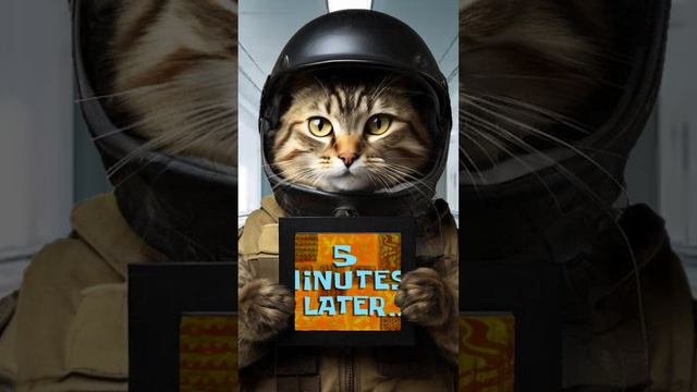 Котик Тестирует Бронежилет в Lethal Company! 💥🛡️ #LethalCompany #Gaming #Юмор #memes #летальнаяком