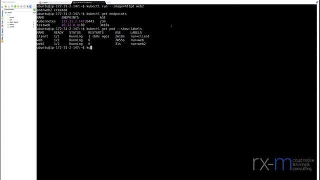 Cloud Native Short Take - Kubernetes Services part 2