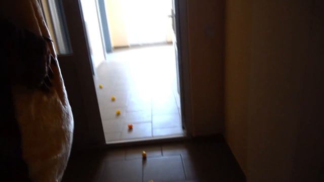Ксюша и Арина и подарки КУКЛЫ Беби Бон Видео для детей