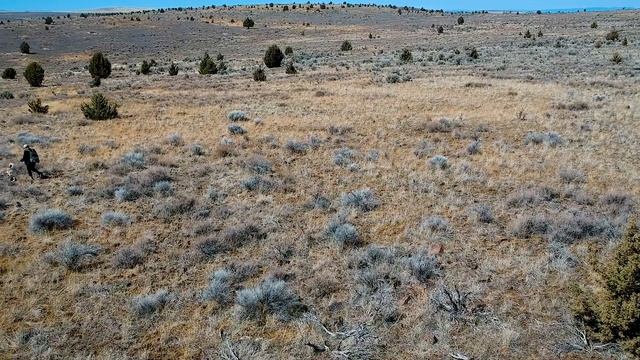 Searching For Wild Horses At: Kiger Mustang Herd Management Area