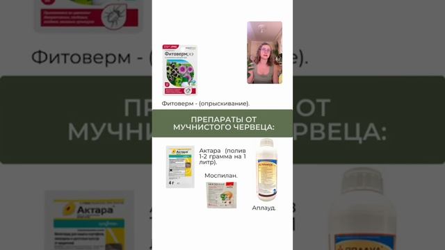 ВРЕДИТЕЛИ КОМНАТНЫХ РАСТЕНИЙ