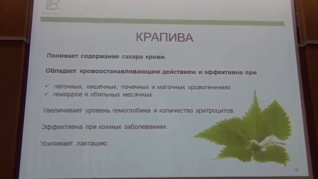 Профессор В А Дадали, о пользе крапивы и Алое Вера