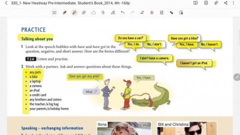 Pre-intermediate Unit 2 / Present Tenses / have vs have got