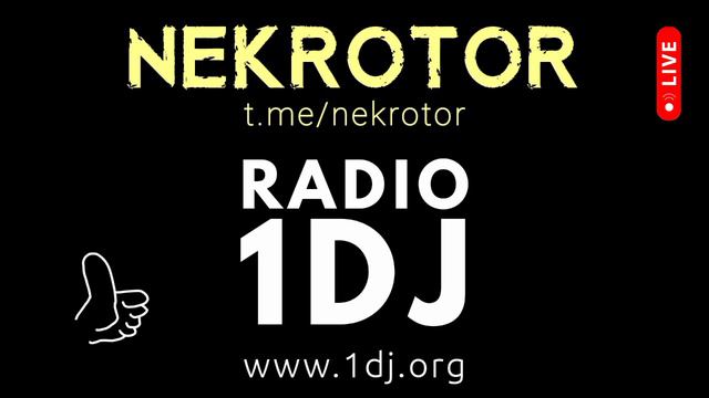 Радио 1 диджей - электро хаус 2024 - NEKROTOR