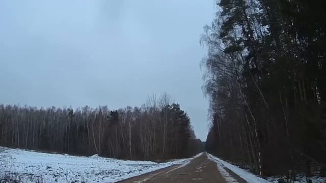 ОХОТА НА ЗАЙЦА-ЛИСУ С ПЕГИМИ ГОНЧИМИ 03 01 2018 !!!