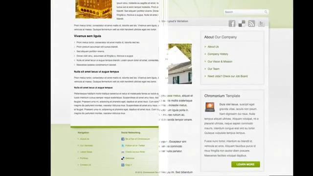 Chromonium Business Template Wordpress