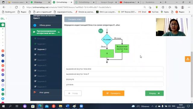7 класс Ветвление в Пайтоне