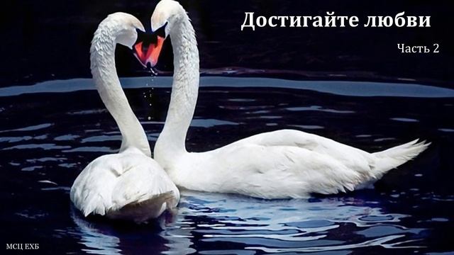 "Достигайте любви". Часть 2. Беседа. Н. С. Антонюк. МСЦ ЕХБ