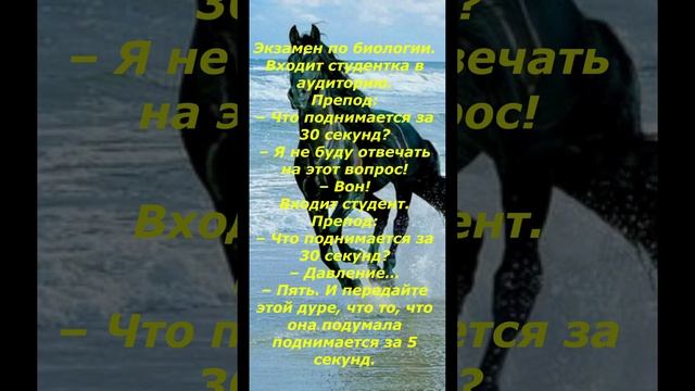 Смешные анекдоты! Короткие анекдоты 12