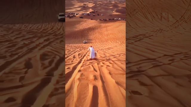 Фримены передвигаются по пустыне песчаной походкой, чтобы не разбудить червей