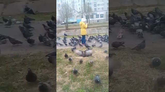Гуляю и кормлю голубей с подругой!!!