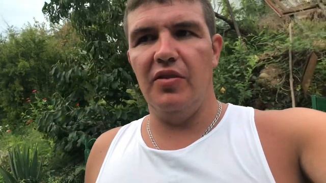 Абхазия.Август 2021г.Продукты питания.Электричество.Сотовая связь.Интернет.Дельфинарий.