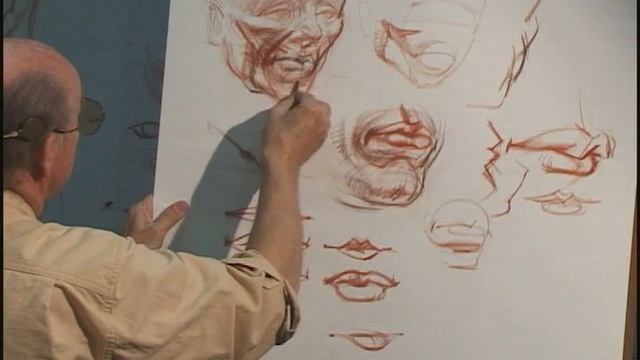 Anatomy of the Head 2: Detailed Examination and Tutorial Drawings #anatomy #headanatomy #academia