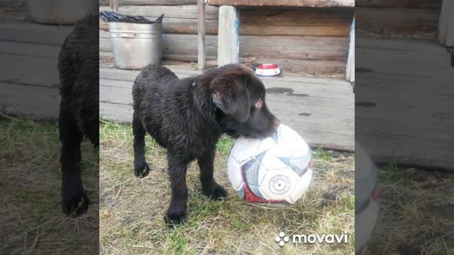 Бут, "самое начало 2 часть" с названием "Бут первый раз на даче" ❤❤❤