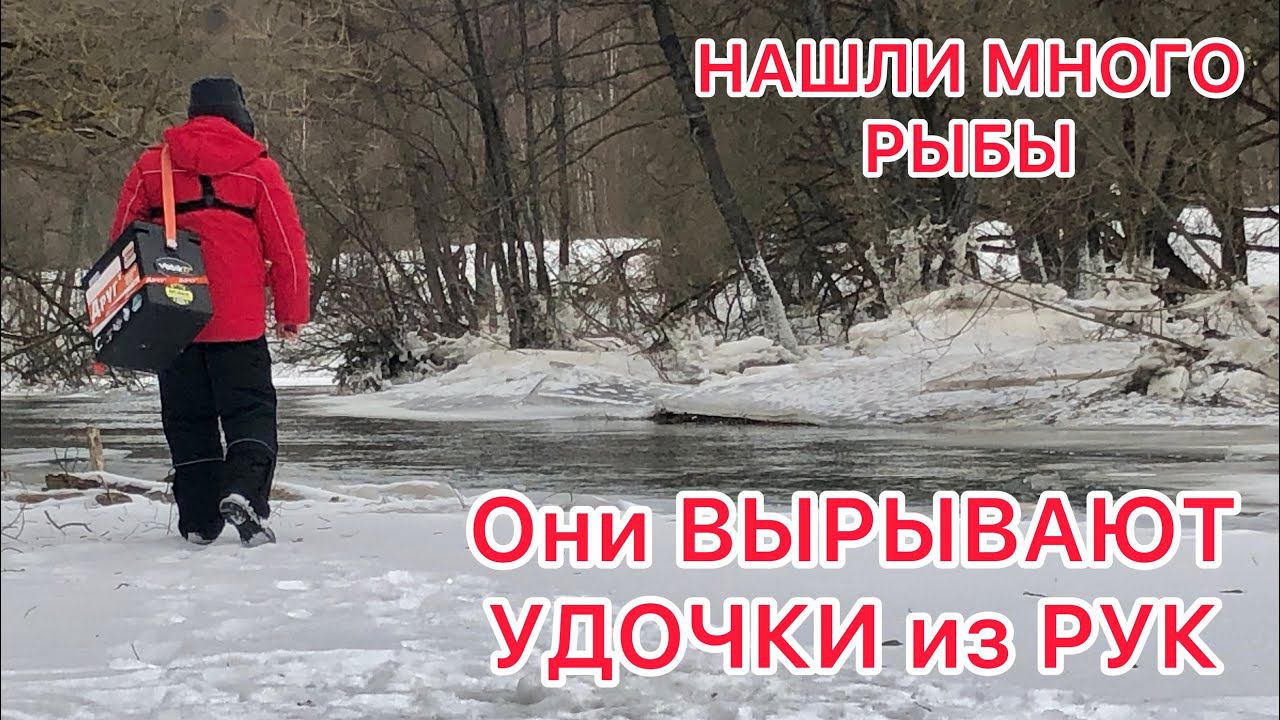 ОНИ ВЫРЫВАЮТ УДОЧКИ из РУК  Рыбалка после ПОДЪЁМА воды  МНОГО РЫБЫ