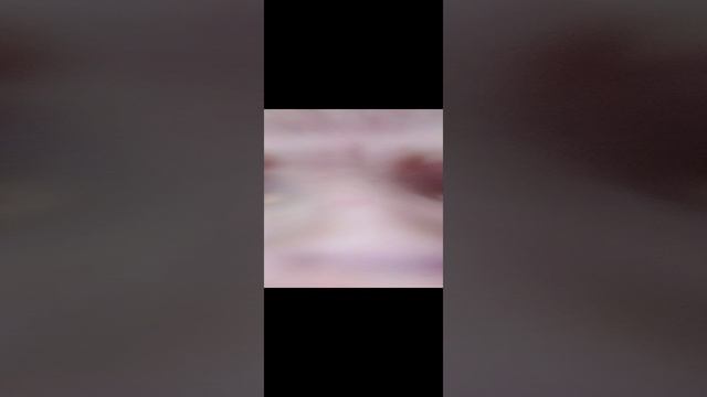 1000014066.mp4