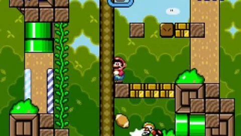 SMF Challenge 2 | World 4-7: Forest Plains