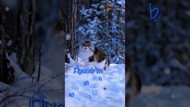 Доброе утро! Красивое пожелание