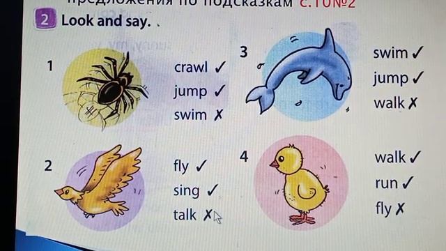 Таланты животных, 3 класс