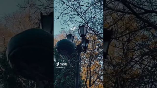 1000013531.mp4